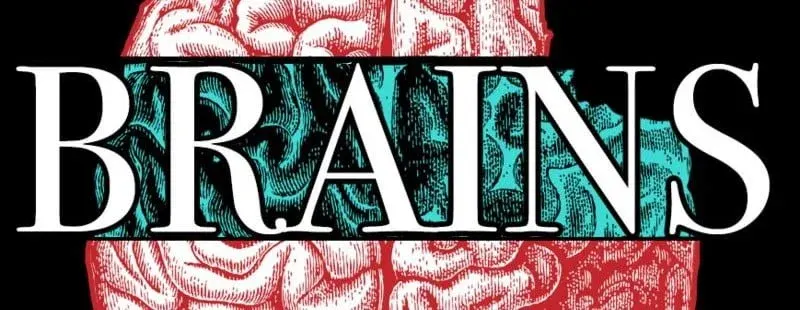 Brains