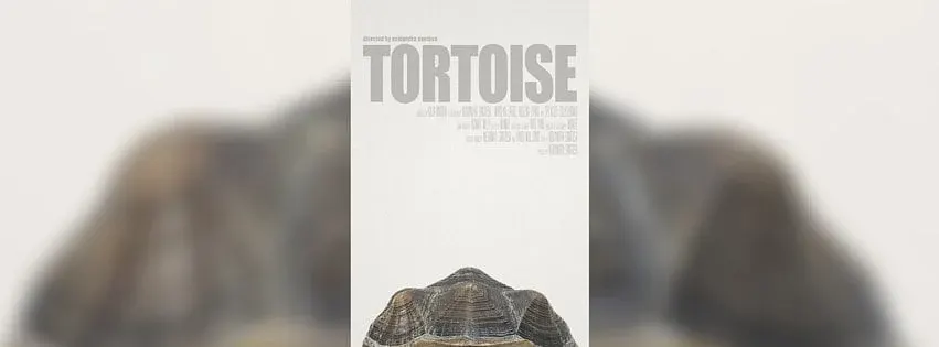 Tortoise