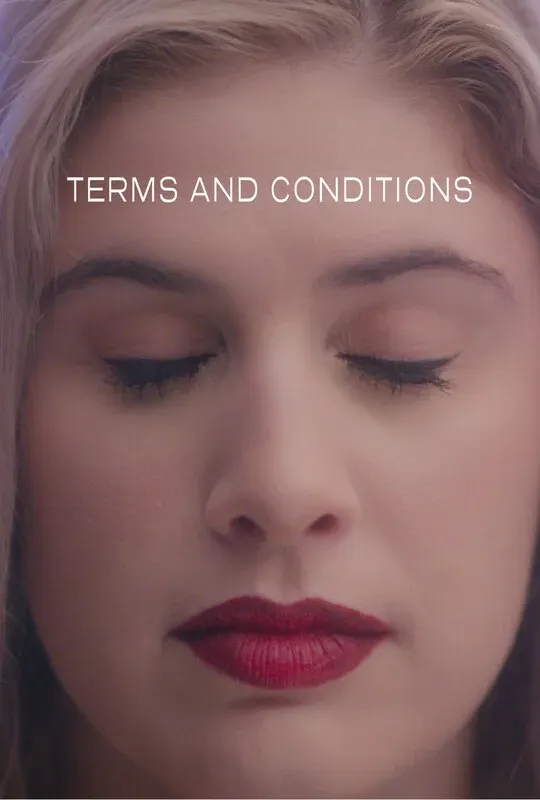 Terms and Conditions*
