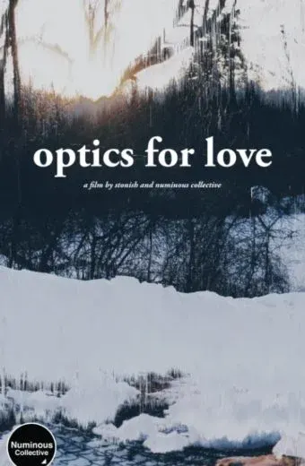 Optics for Love
