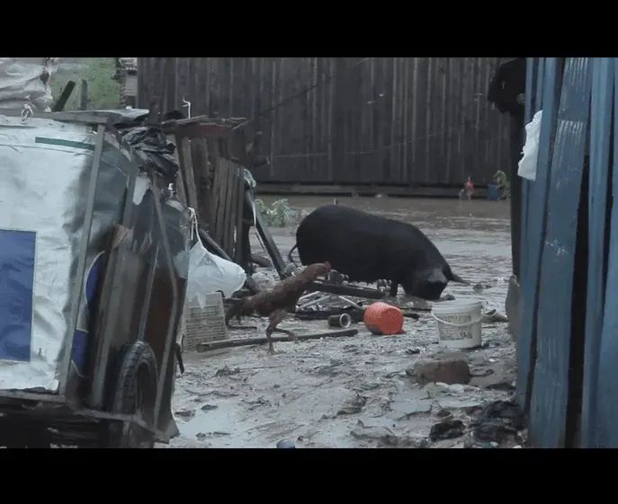 Gloria and the Rain