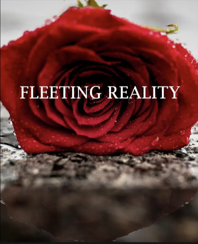 Fleeting Reality*