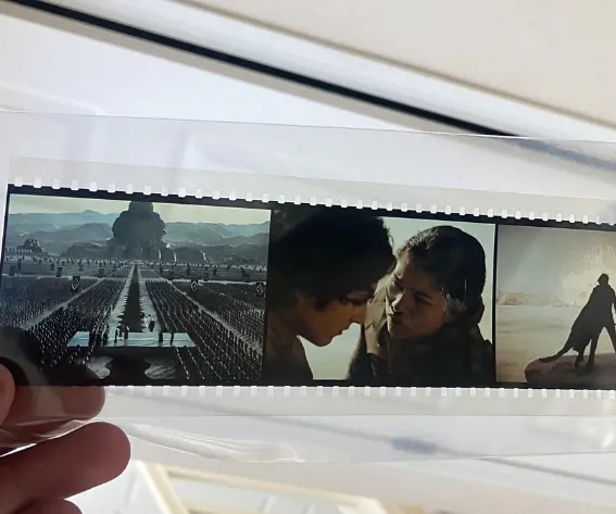 The Film Frames Worth Fixing Before They Disappear Into Your Archive