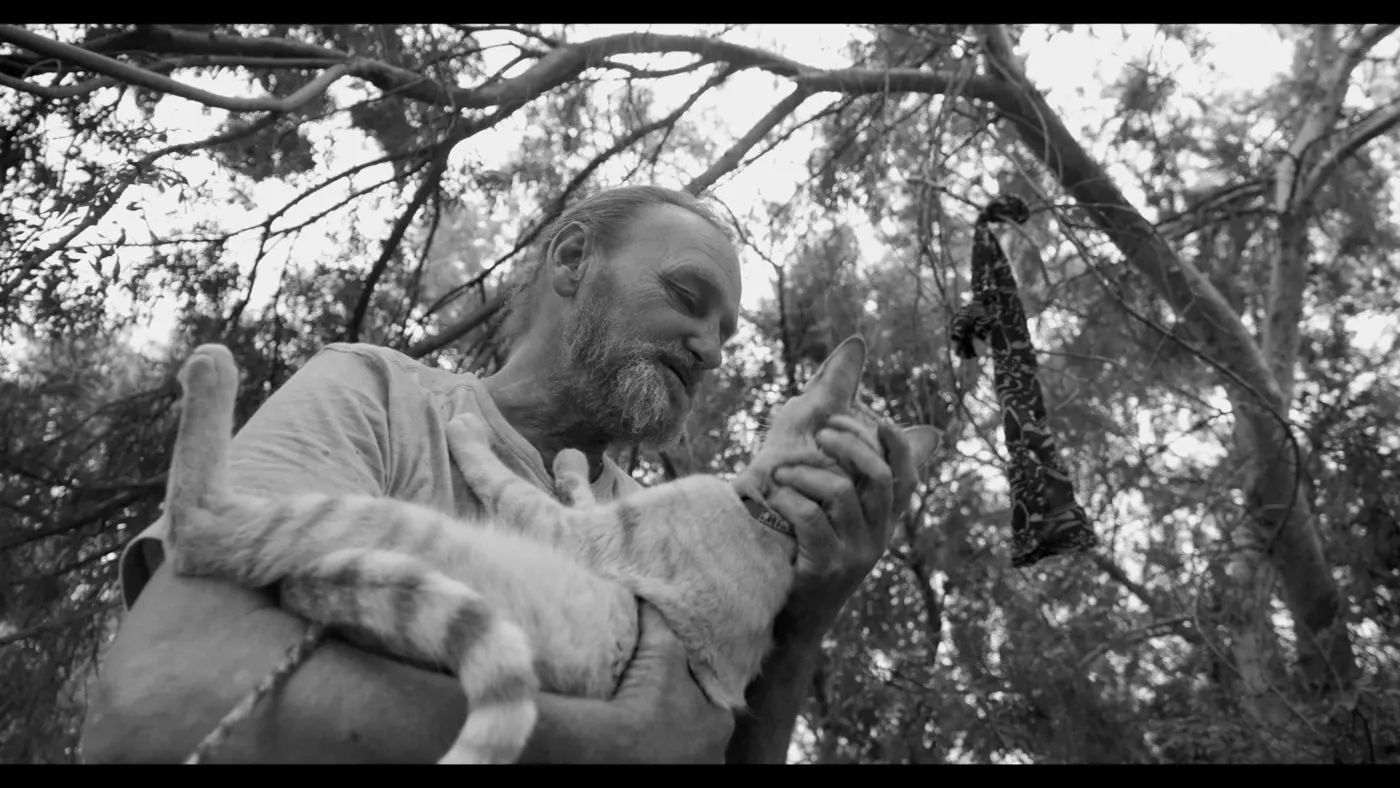 The Cat Man