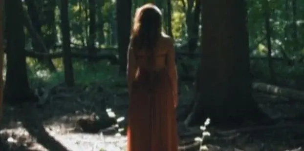 Sound of the Leaves