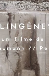 Palingenesis