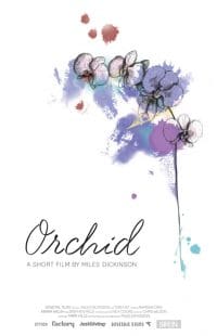 Orchid