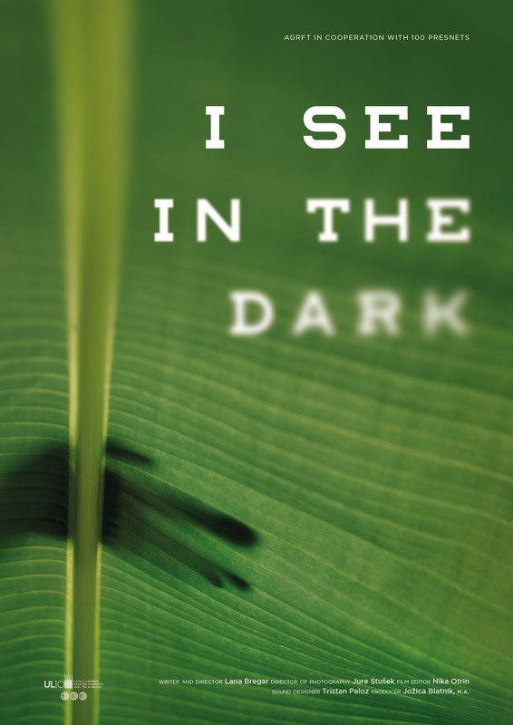 I See in the Dark (TRAILER)