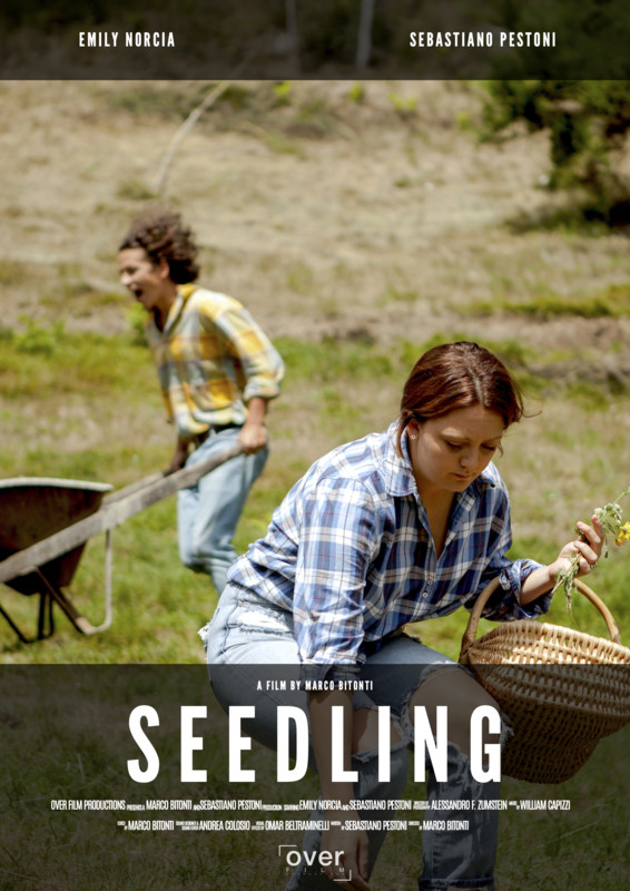 Seedling*