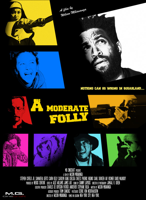 A Moderate Folly*