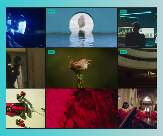 Find Royalty-Free Stock Video Footage for Your Next Art Project with Artgrid.io