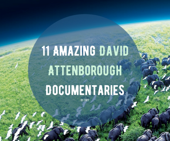11 Amazing David Attenborough Documentaries