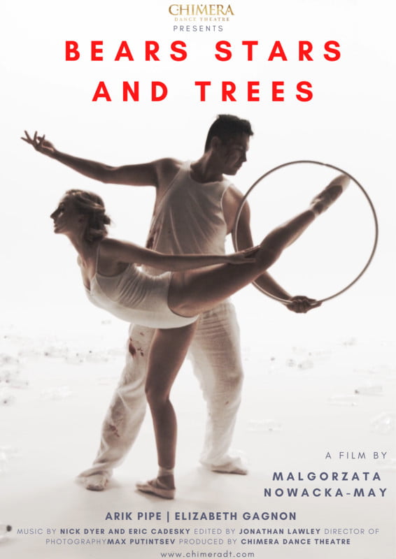Bears Stars and Trees
