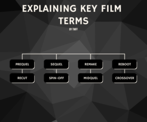 explaining key film terms