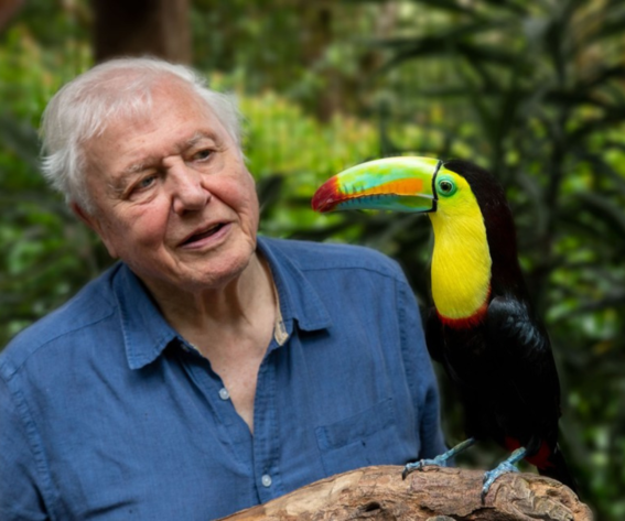 Why is David Attenborough so Loved?