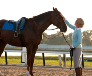 Horse Racing Movies and Their True Story Roots
