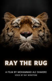 Ray the rug