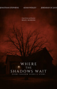 Where the shadows wait